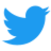 Twitter API v2 logo